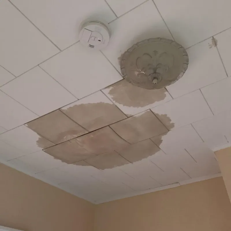 Ceiling Water Damage Repair in Farmersville, TX