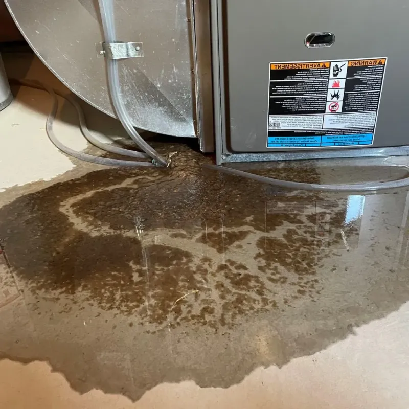 Pipe Burst and Leak Restoration in Farmersville, TX