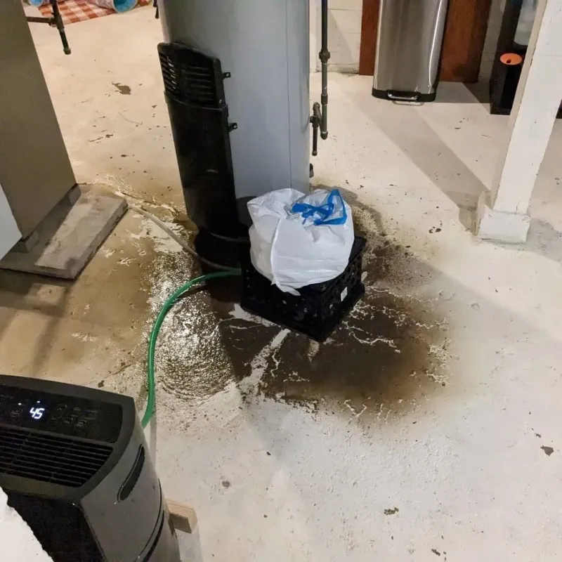 Sewage Backup Cleanup Service in Farmersville, TX
